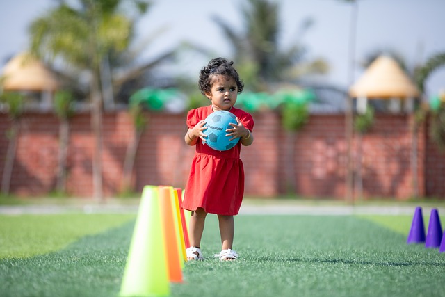 林丹的选择 林丹的选择