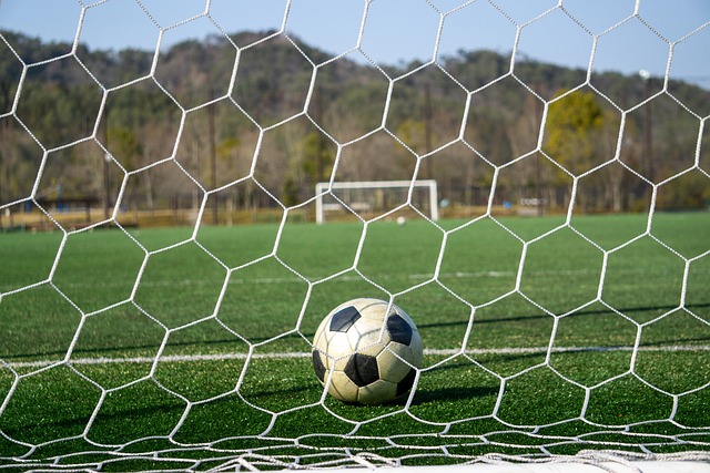 行之有效的 行之有效的