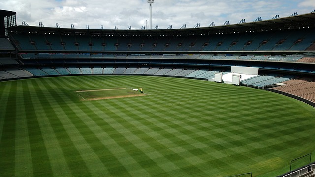 在这样的背 在这样的背