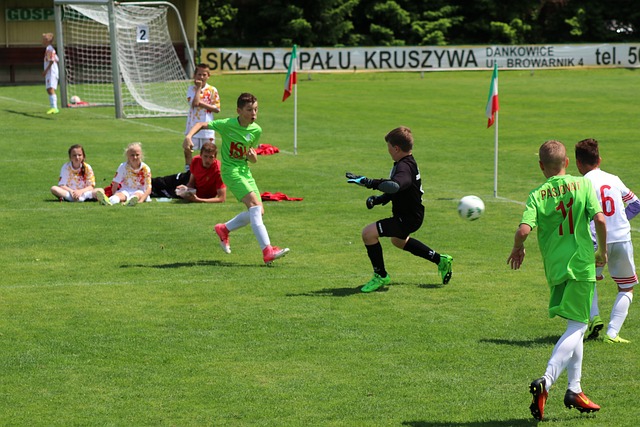 本科毕业生 本科毕业生