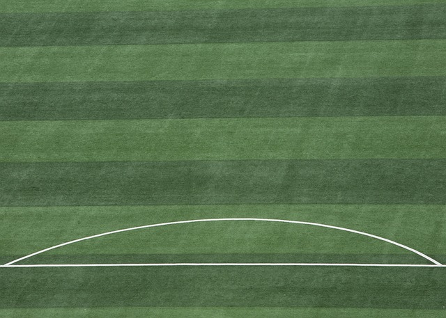 为广大球迷 为广大球迷