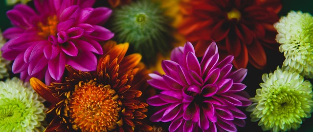 的未来捏了 的未来捏了