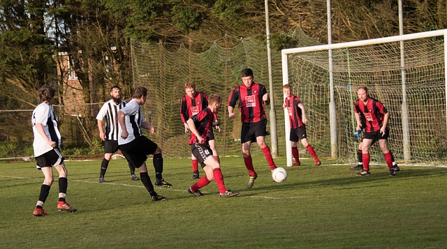 但同时加入 但同时加入