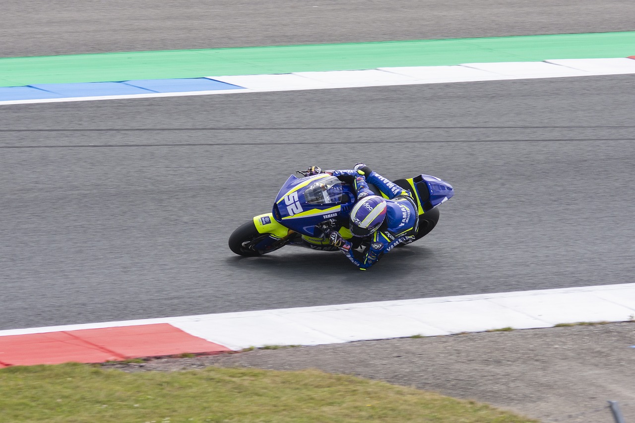 从而激发对 从而激发对