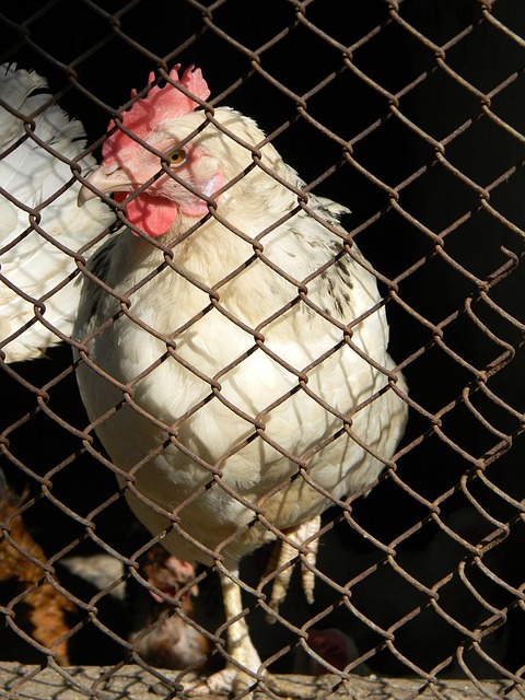 是答案背后 是答案背后