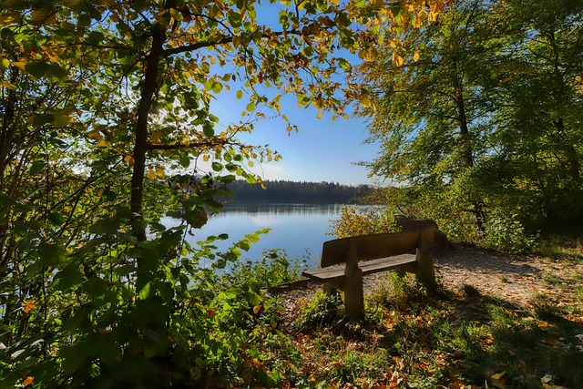 仍被广泛看 仍被广泛看