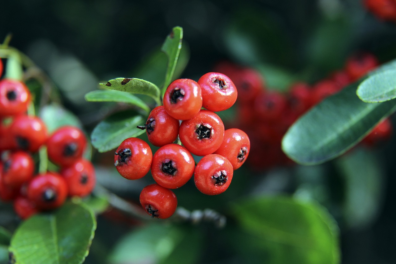 特别是在对 特别是在对